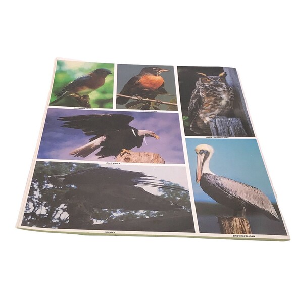 Bird Watch In Georgia Prepared for Fifth Graders in Georgia’s Public Schools - Picture 2 of 2